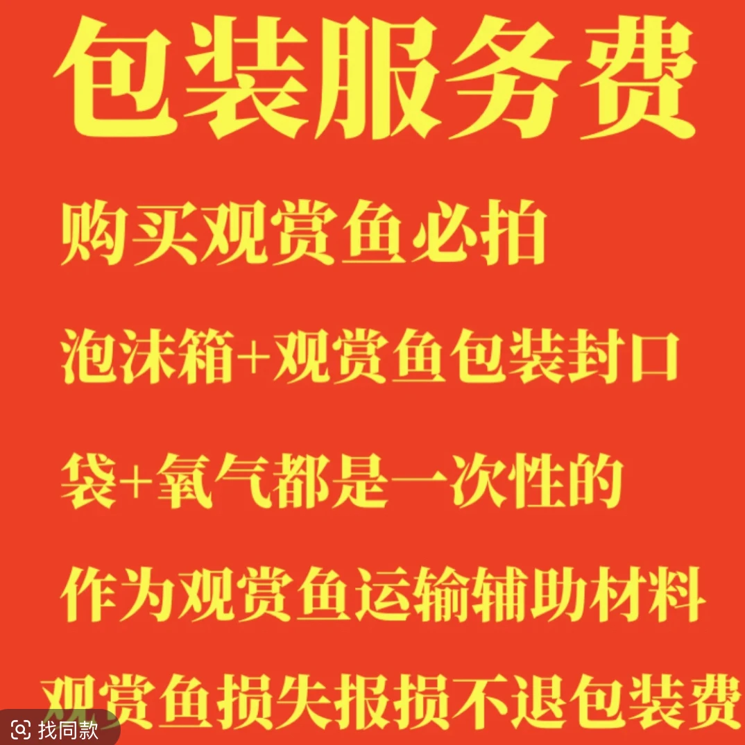 拍鱼第一单 拍包装费