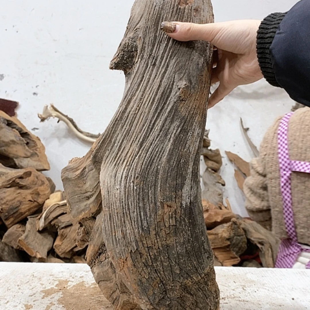 【闪购商品】柏木忆*我们都是好孩子