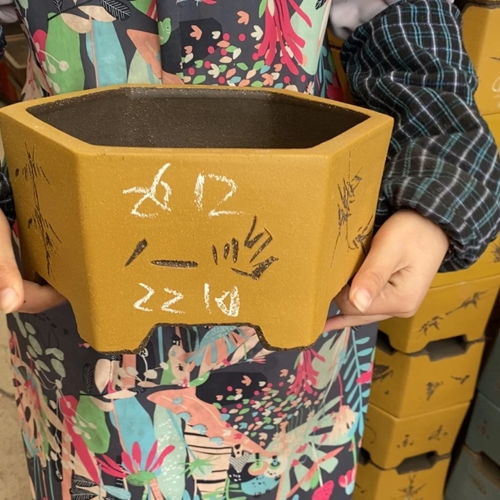 紫砂花盆只顾看手机的日子