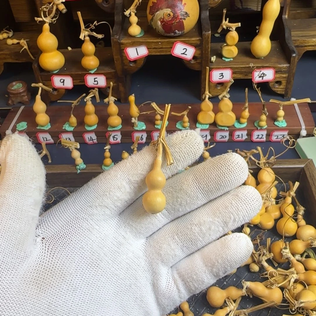 十****?我的意思是我的意思就是你的名字
