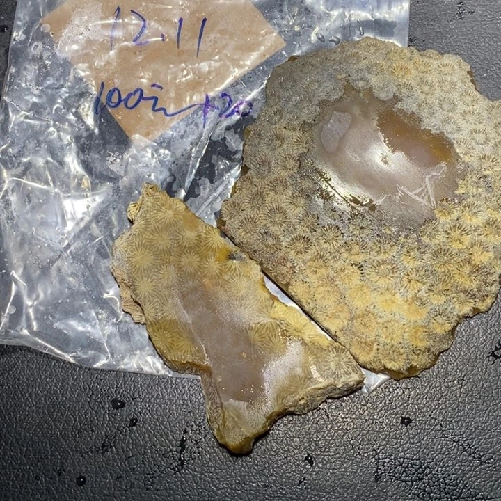 【闪购商品】未镶嵌珊瑚玉硅化玉＆****云