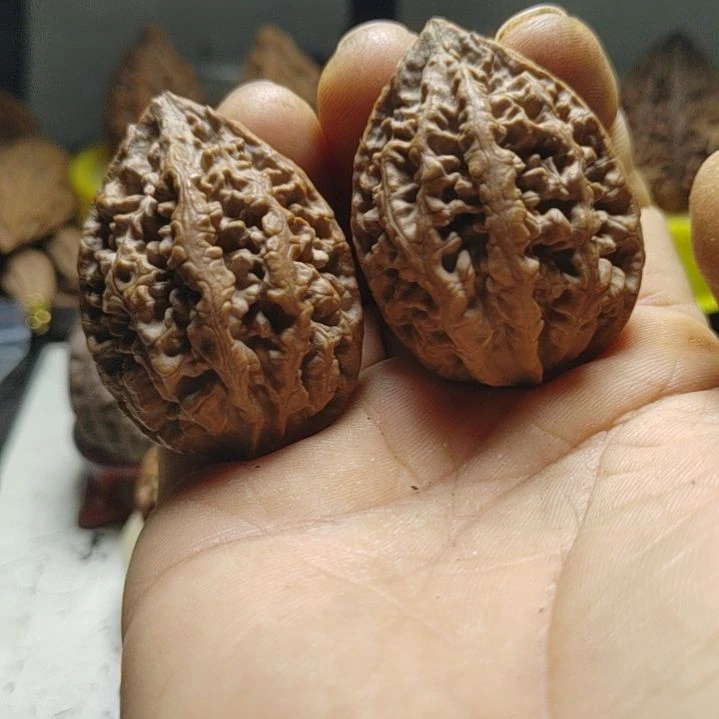 文玩核桃把件东北野生文玩核桃蚂蚁纹