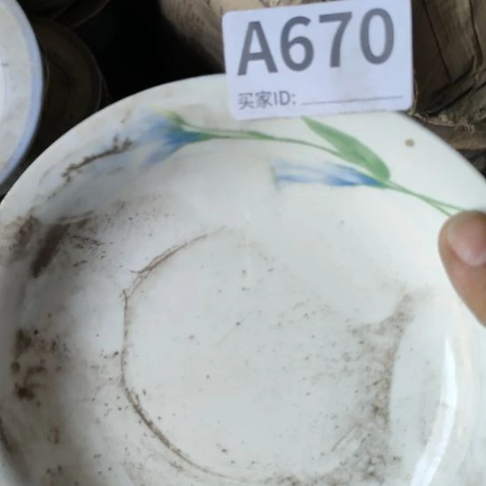 陶瓷静出口深盘两支