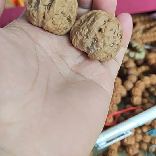 把件文玩核桃34左右瑕疵练手蛤蟆头