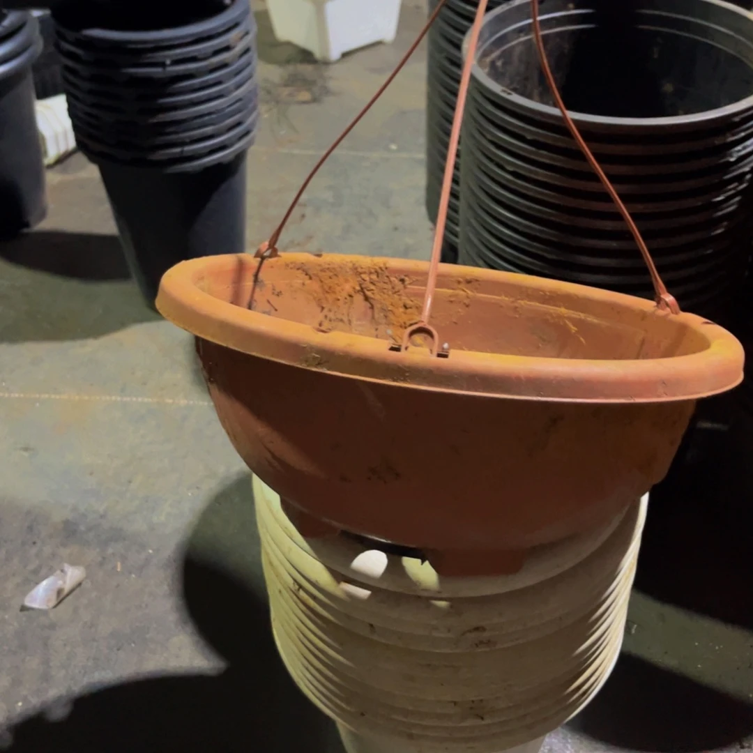 旧口径27高度13红吊兰盆10个