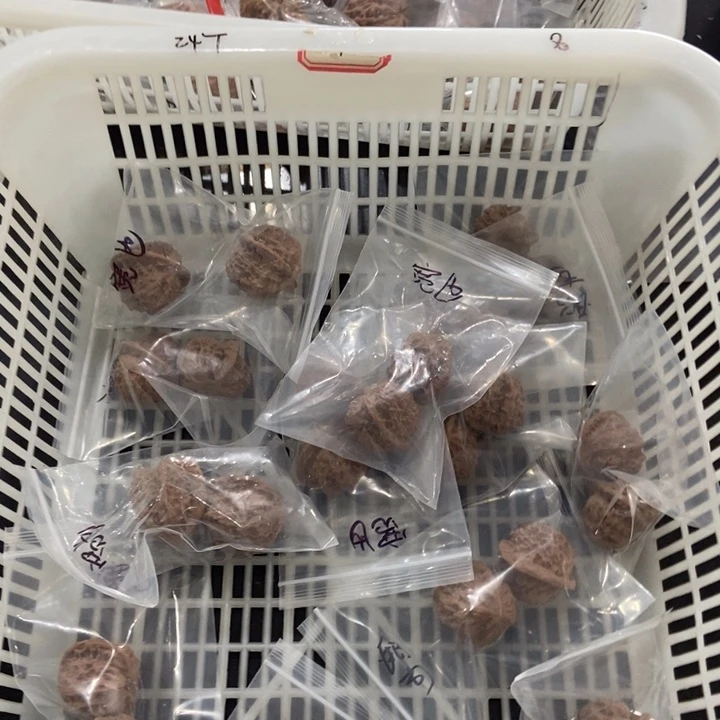 吊坠文玩核桃宽边瑕疵