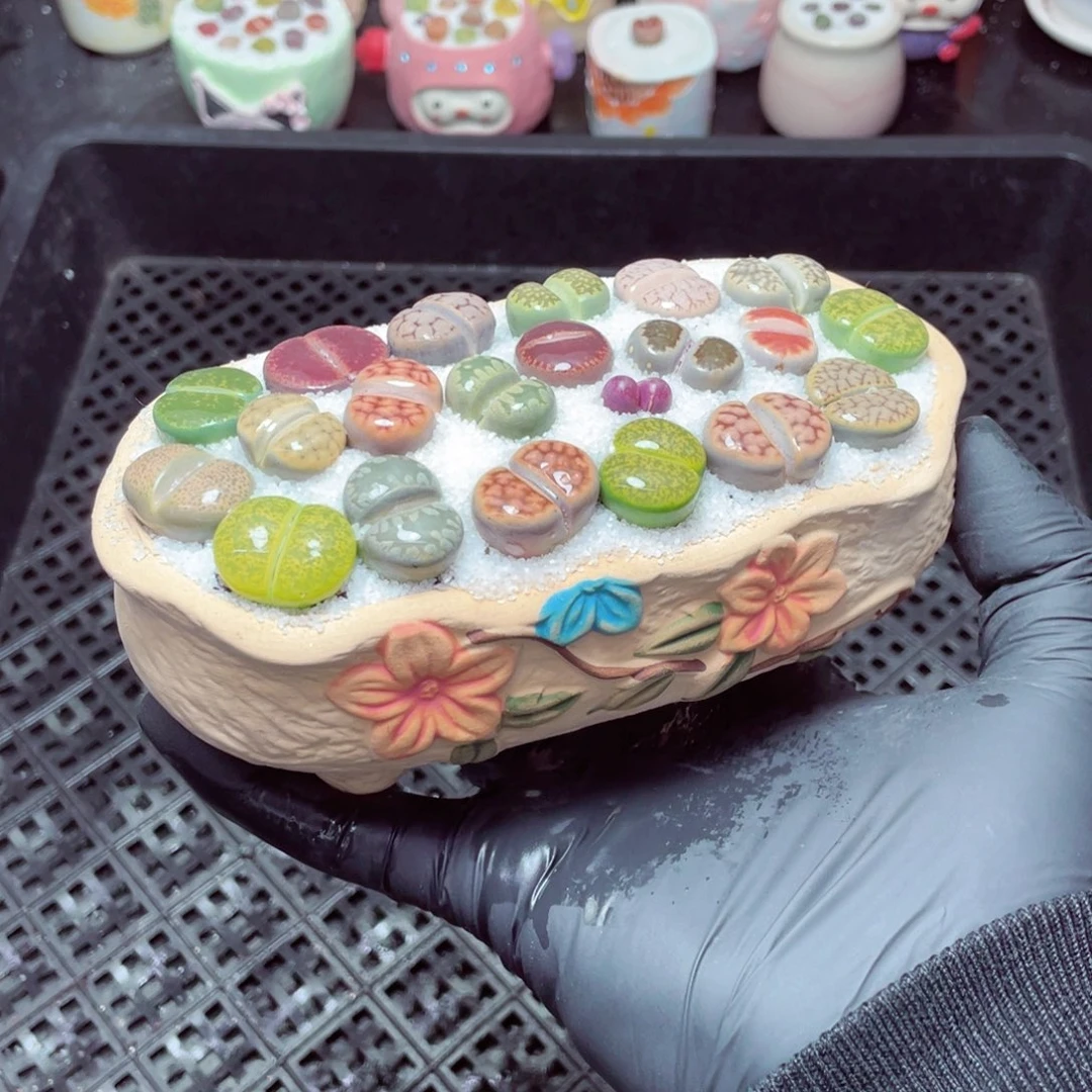 w6553--带盆土发货，零下地区拍保温箱