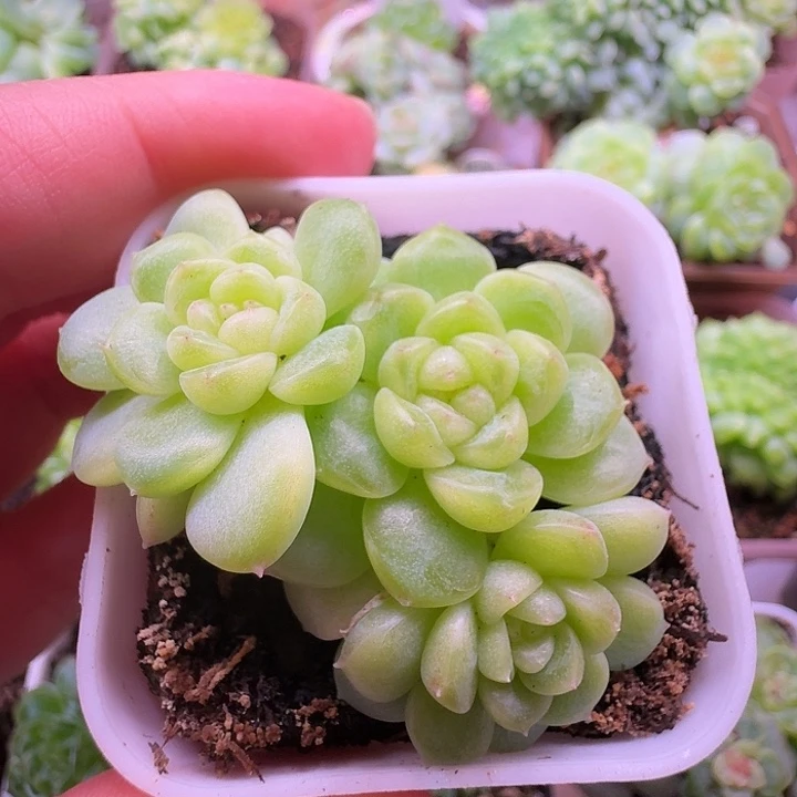 财富密码现金福利