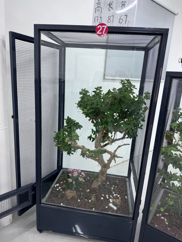 高175长87宽67生态鸟笼