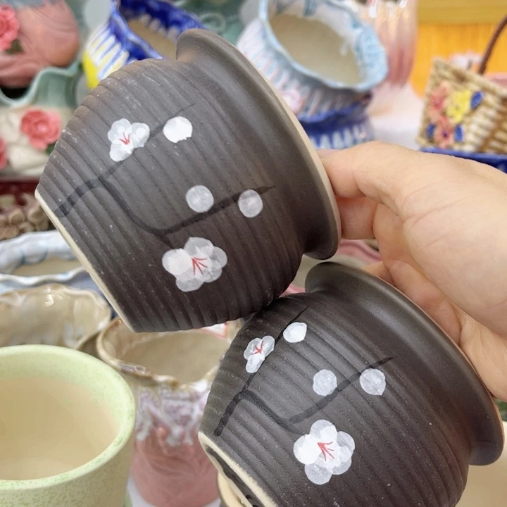 多肉植物花盆9.99包邮