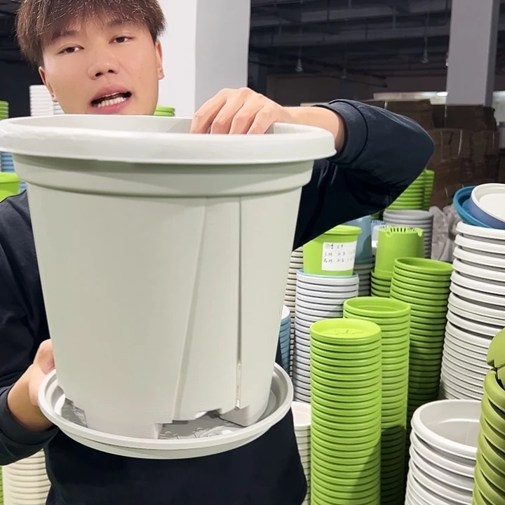 正品青山口32高28灰白带托5个