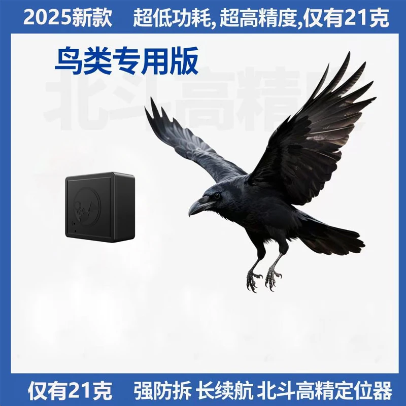 【鸟类盘飞专用】新款Gps 北斗定位器鸟类定位神器不送佩戴脖套