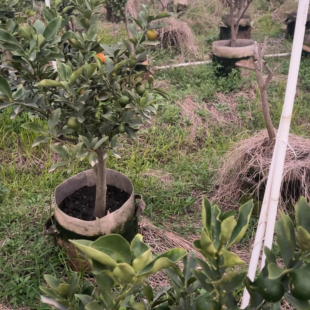 用***7完全开放脆蜜zzzzzzzz