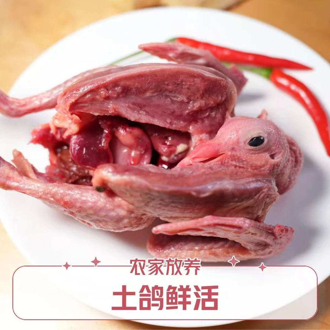 精选4只 顺丰京东包邮 新鲜速冻土鸽单只净重6-7两