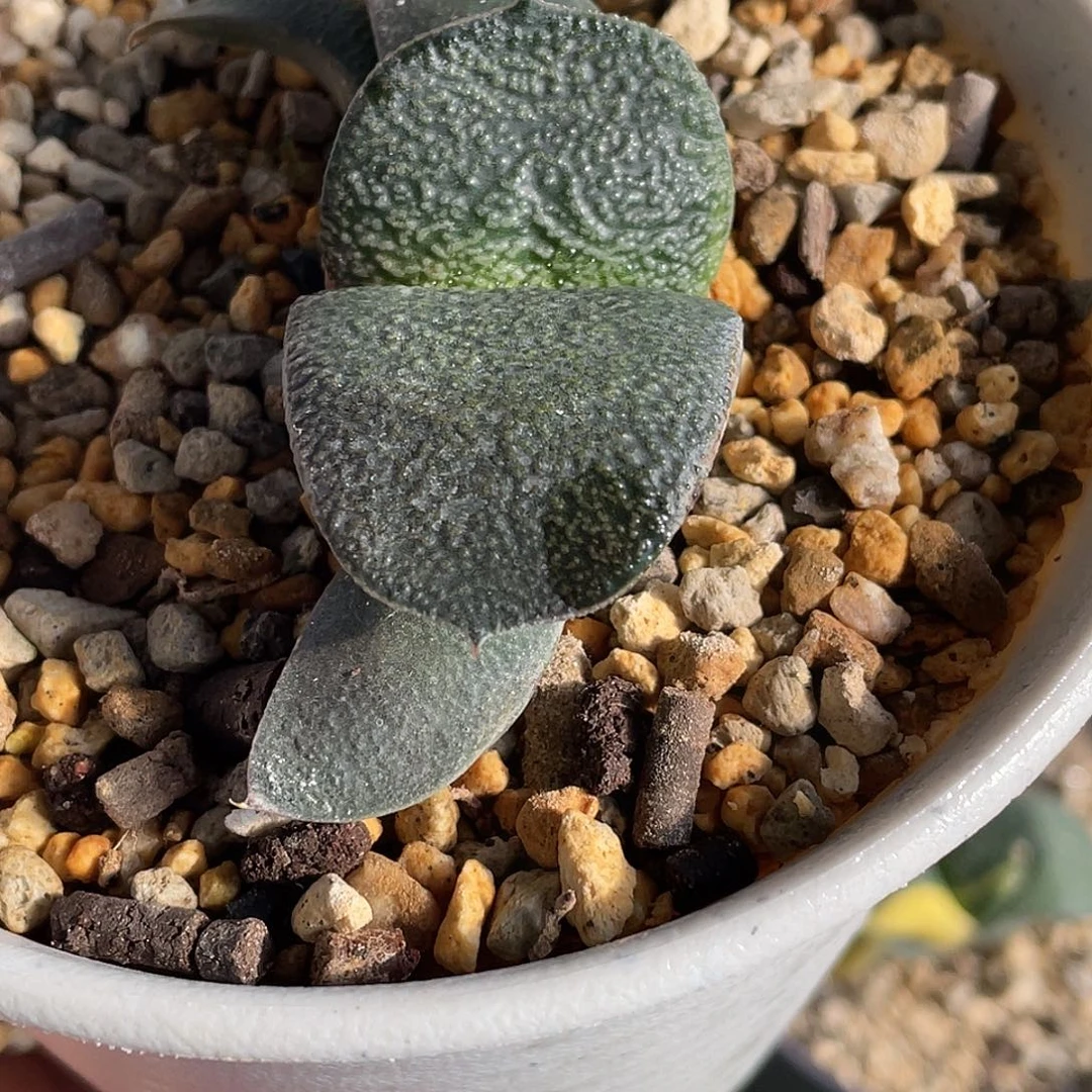 随***意随缘拍111111111111