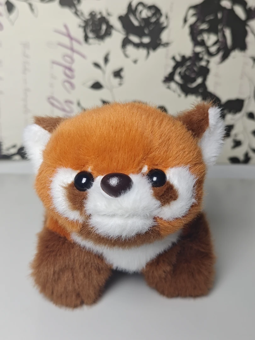 拍拍圈小浣熊啪啪圈玩偶公仔可爱生日