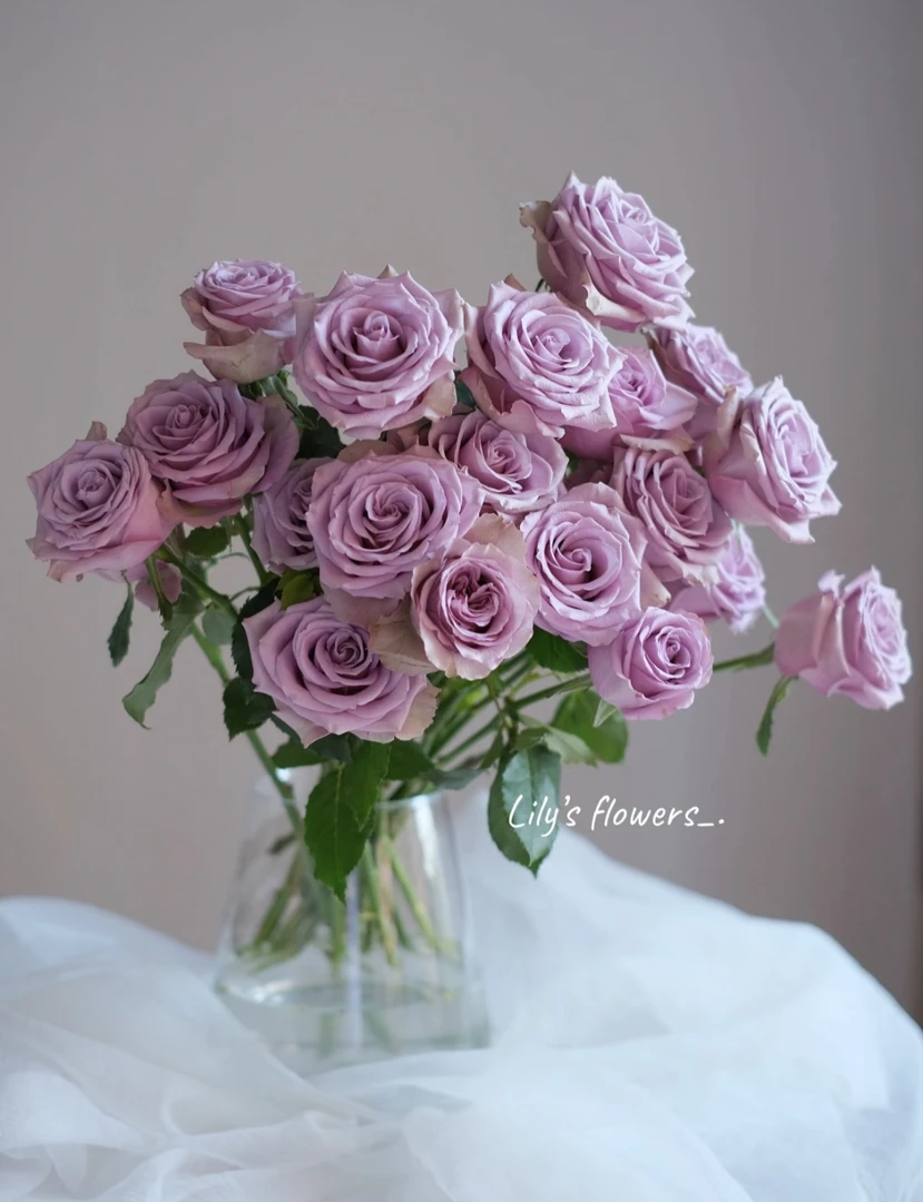 高级【紫霞仙子玫瑰链接】云南产地直发 | 新鲜采摘