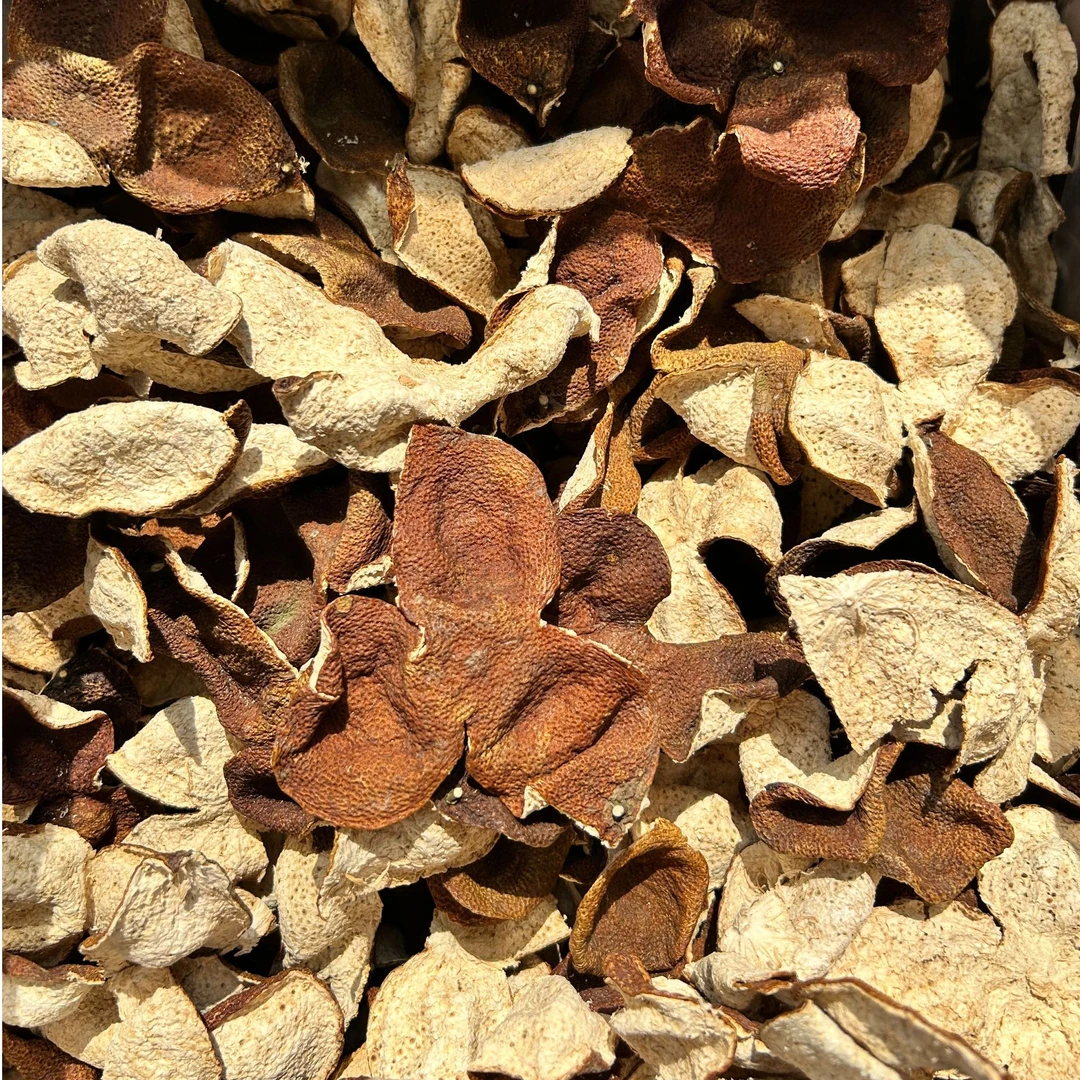 【圆圆专属】2018年东甲新会站老树冬后皮