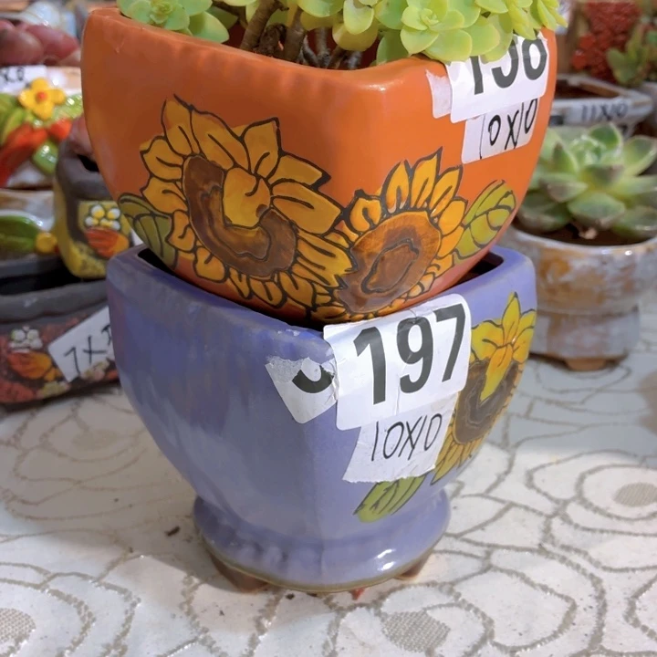 多肉花盆15包邮爱退款拉黑