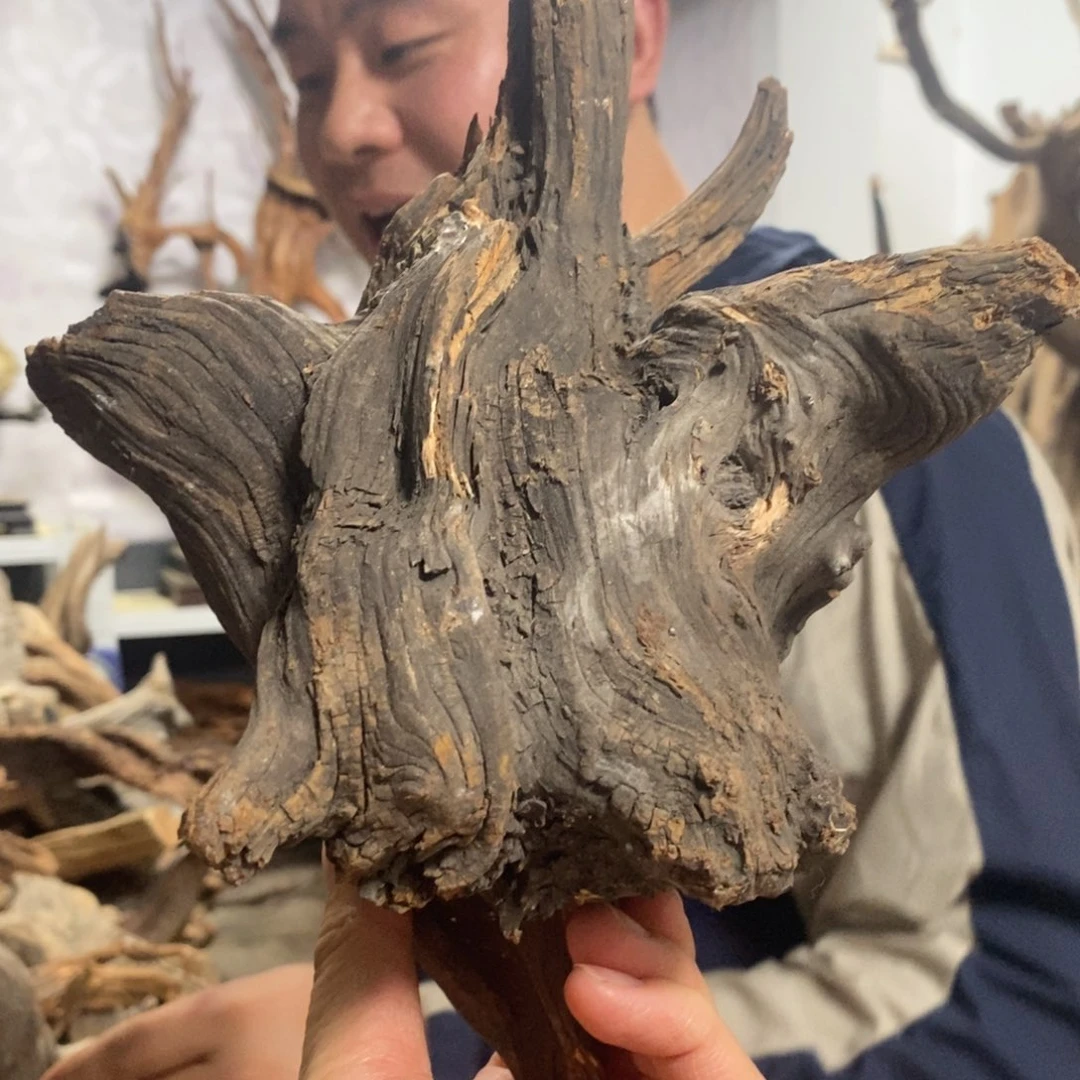 柏木喜*郎我们都是好孩子