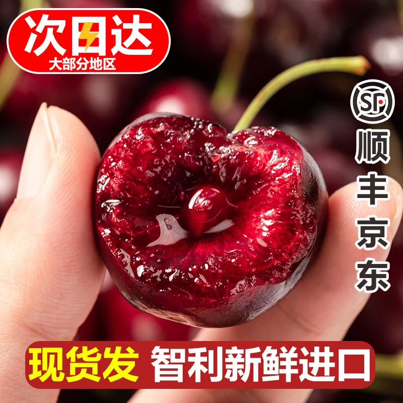【琪琪精选】智利进新鲜车厘子J-4J海运5斤 内附果径卡