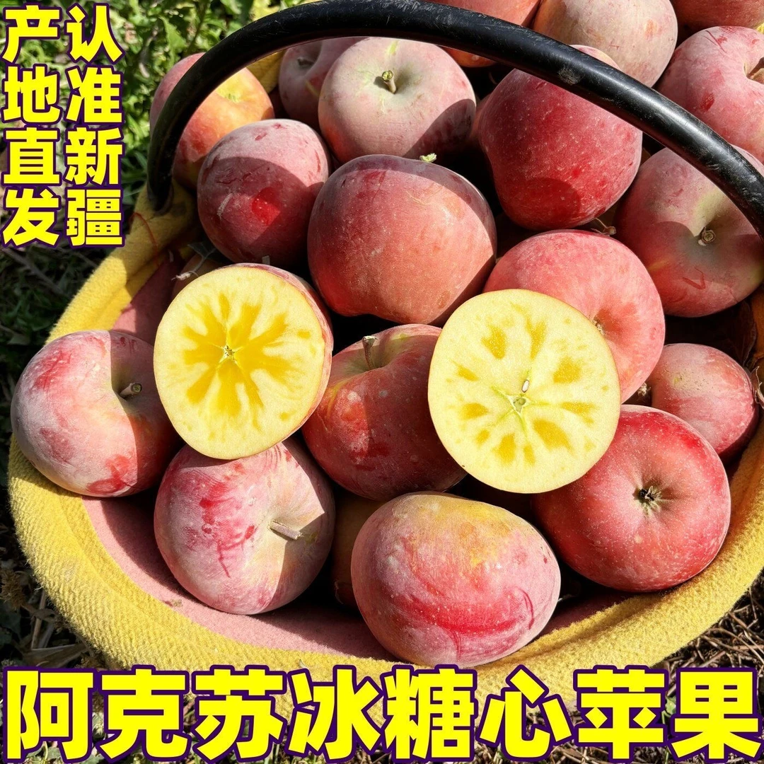 名玛仕新疆阿克苏直发冰糖心苹果树上自然熟酥脆新疆阿克苏苹果