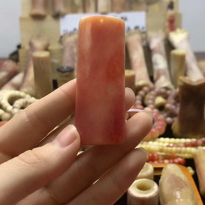 其他驼骨骨牌骨牌