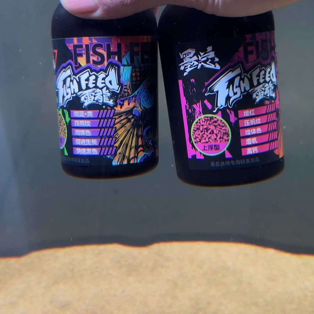 热带鱼公101111111