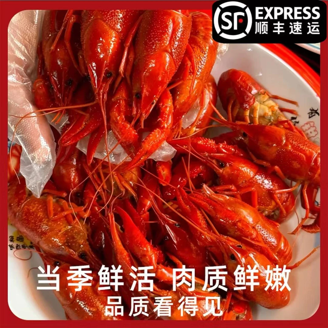 4斤（非即食）清水小龙虾4-6液氮活虾锁鲜需要冷水解冻后烹饪