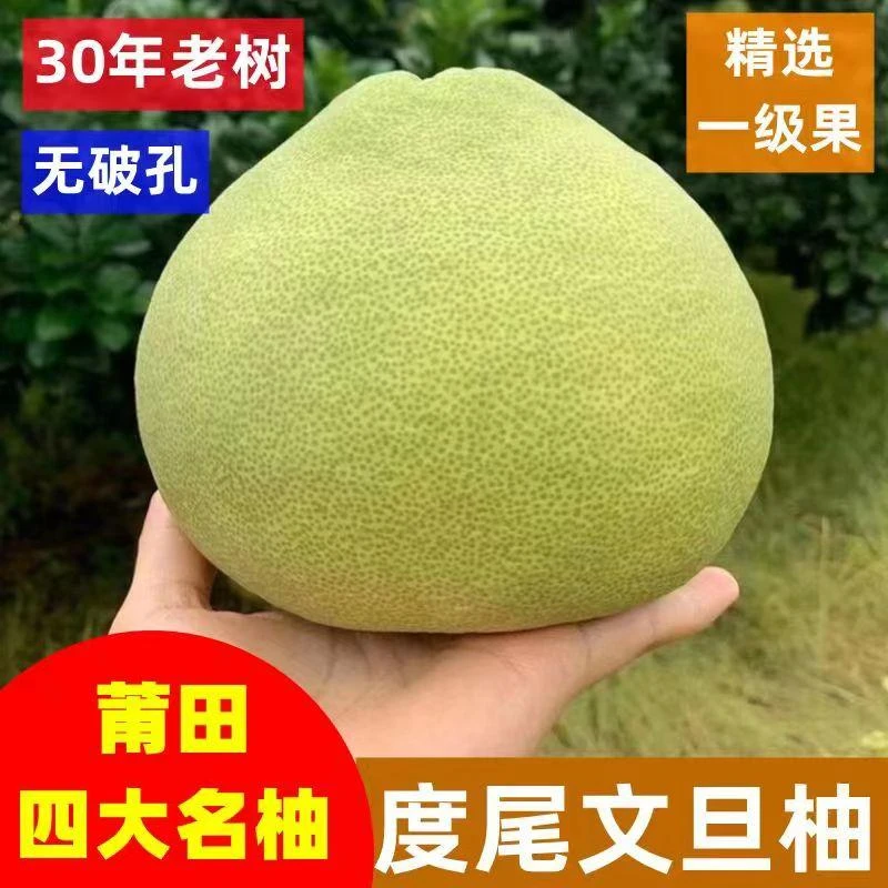 正宗福建度尾文旦柚红心蜜柚子新鲜当季水果孕妇老树水果甜