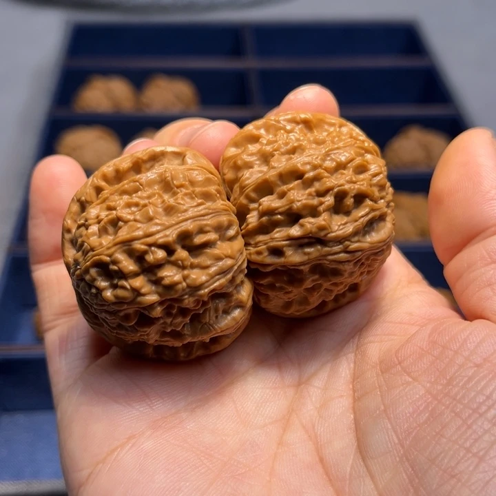 文玩核桃把件白狮子8235