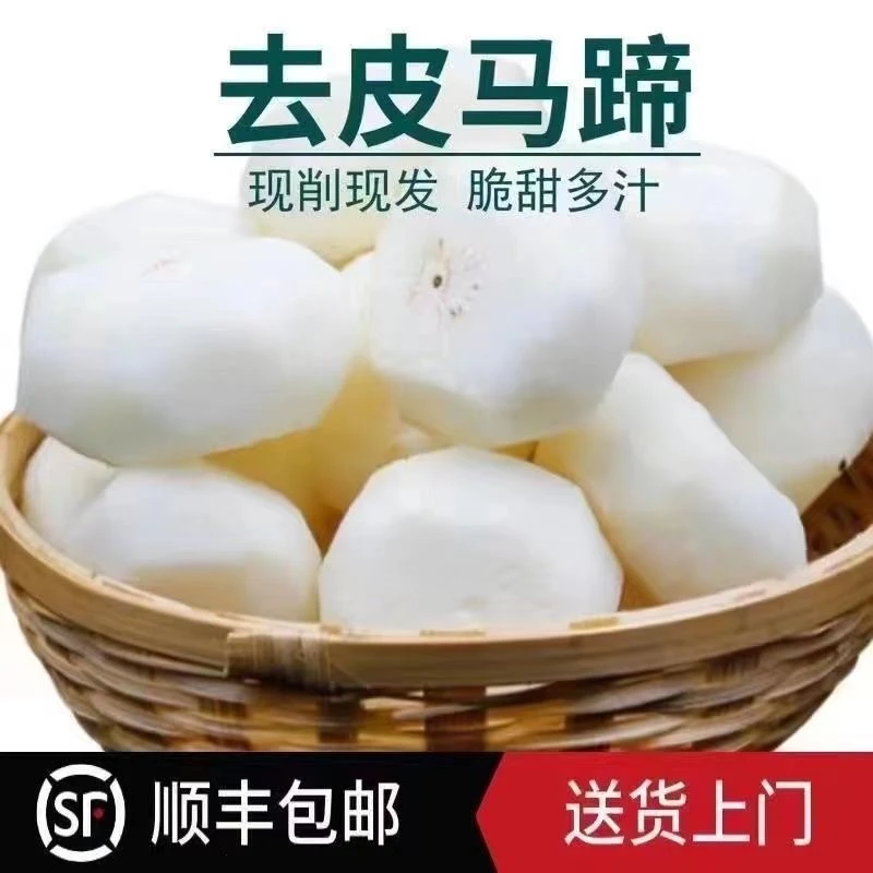 【顺丰京东包邮】当季去皮马蹄真空包装新鲜荸荠零添加特产水果