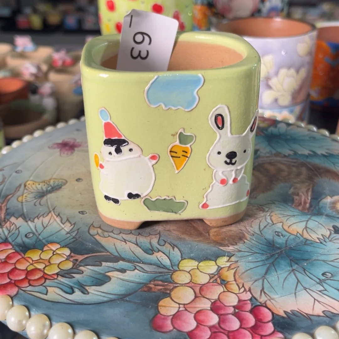 兰***子63多肉花盆   1个