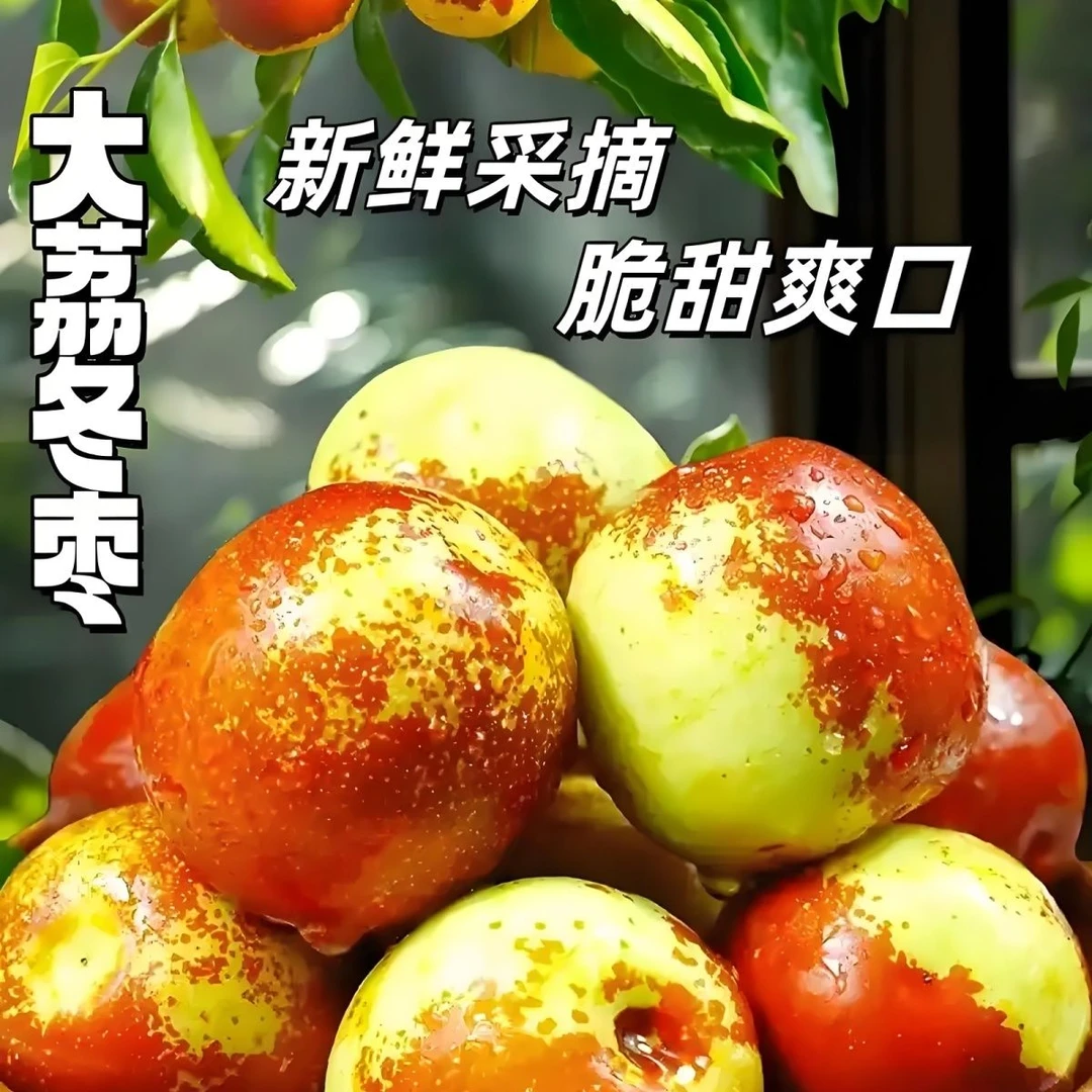 精品产地直发礼盒陕西大荔冬枣2斤3斤4斤5斤正宗陕西大荔冬枣水果