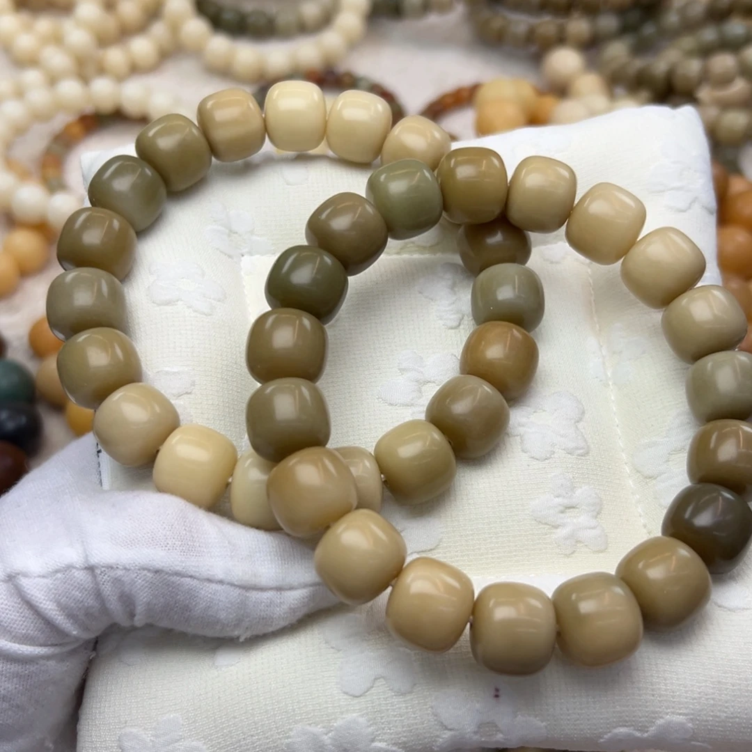 菩提根/象牙果吊坠15干磨发一条352