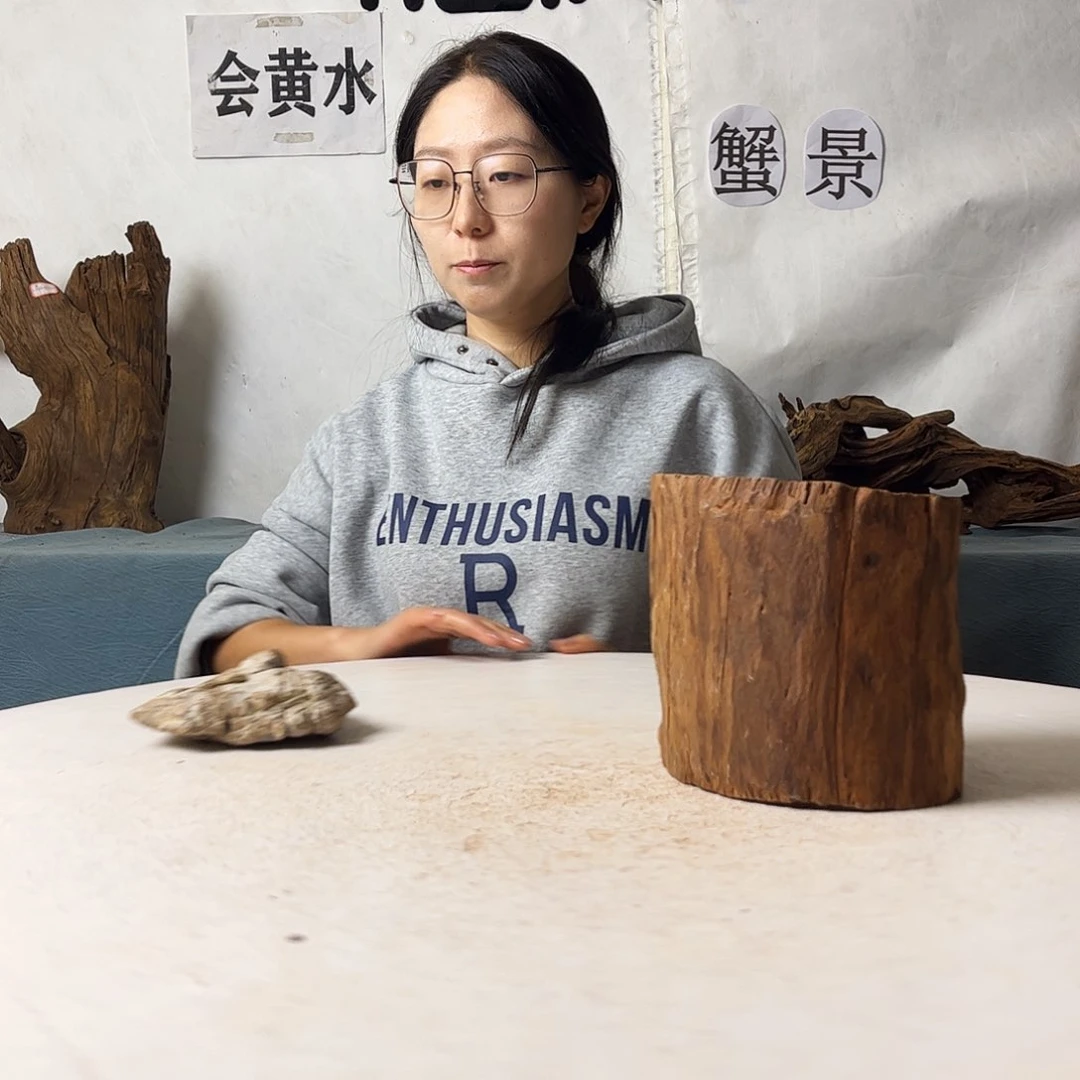 沉木造景爬宠造景