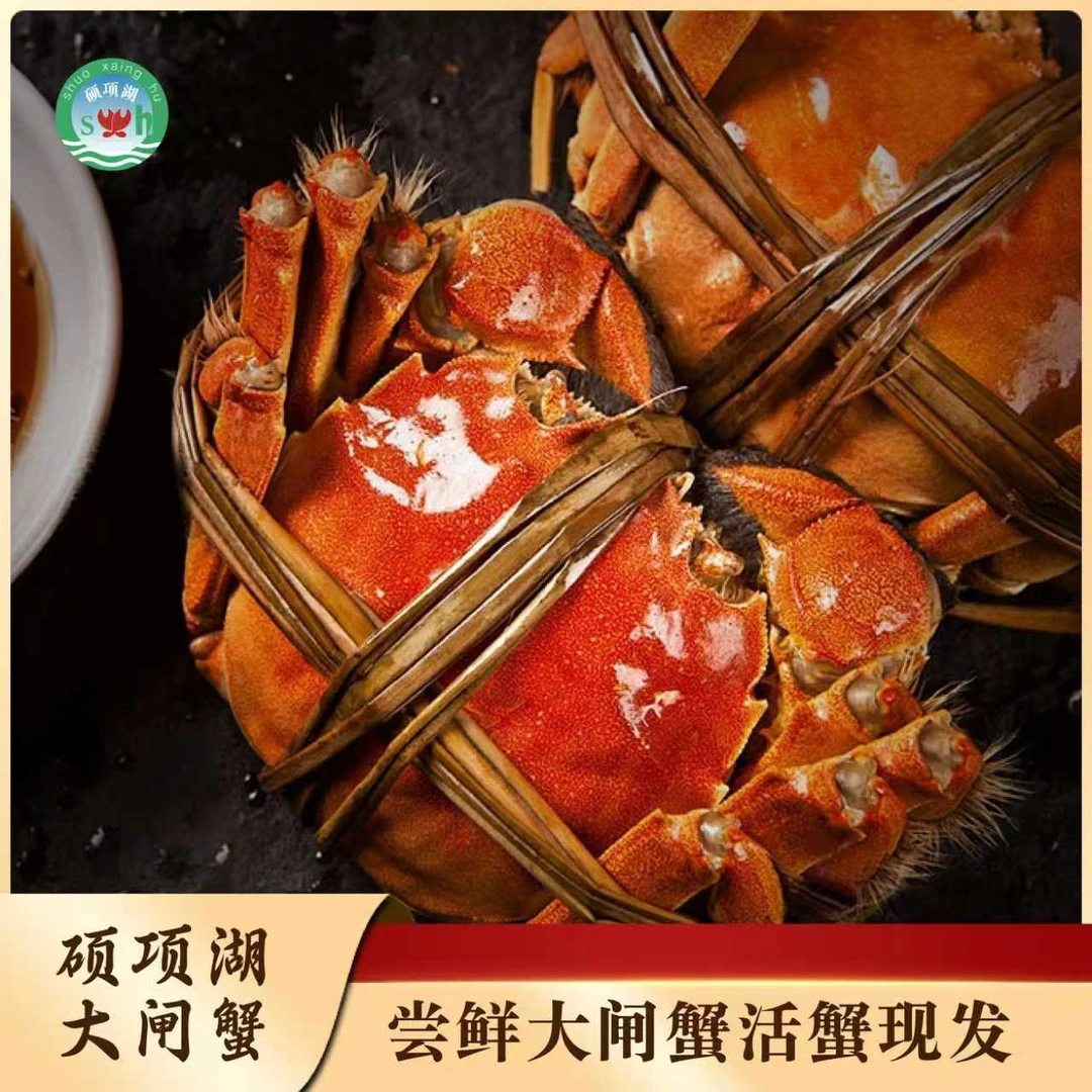 【活蟹】鲜活硕项湖大闸蟹4.8-5.1两公蟹3.8-4.1两母蟹 4-5对装