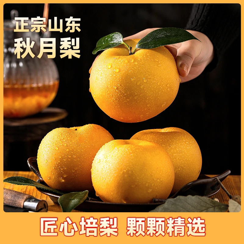 【不好吃包赔】山东25年头茬正宗秋月梨4.5斤新鲜水果脆甜多汁孕妇