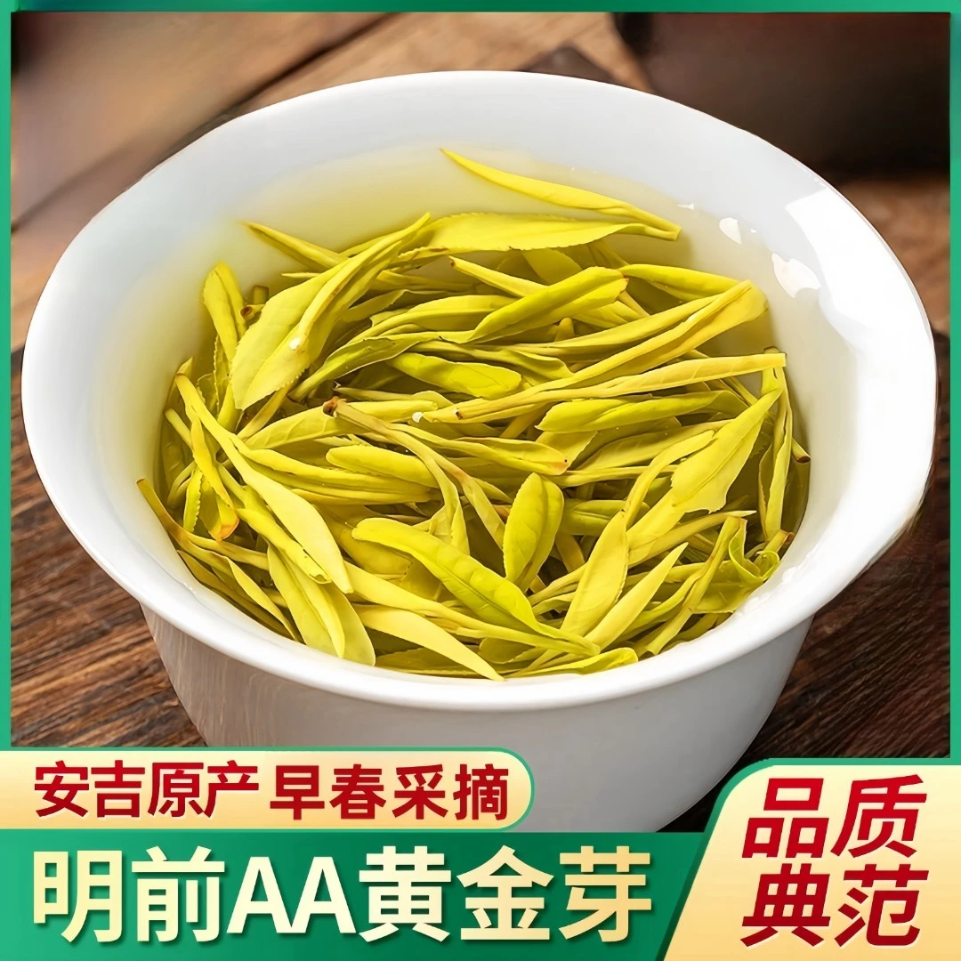 官方正品黄金芽茶叶2025新茶明前正宗安吉白茶特级绿茶黄金叶礼盒