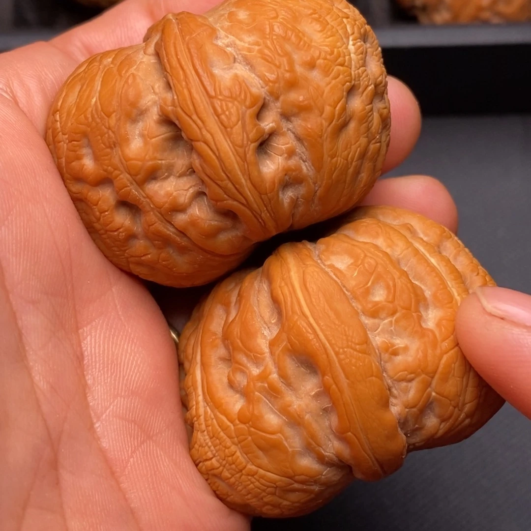 把件文玩核桃秦岭野生植物资源
