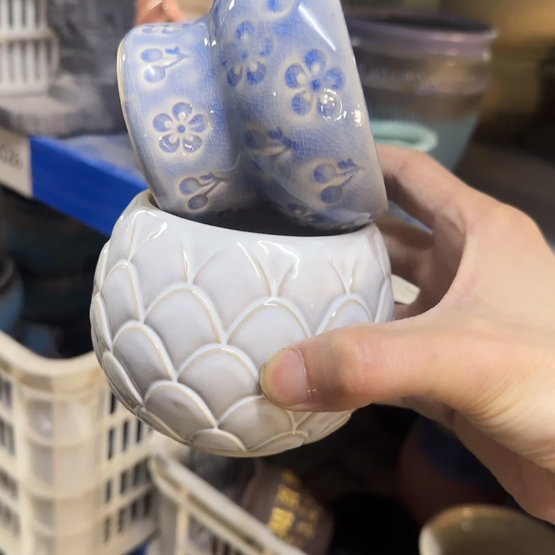 2个福利局［凑9元包邮24小时发］