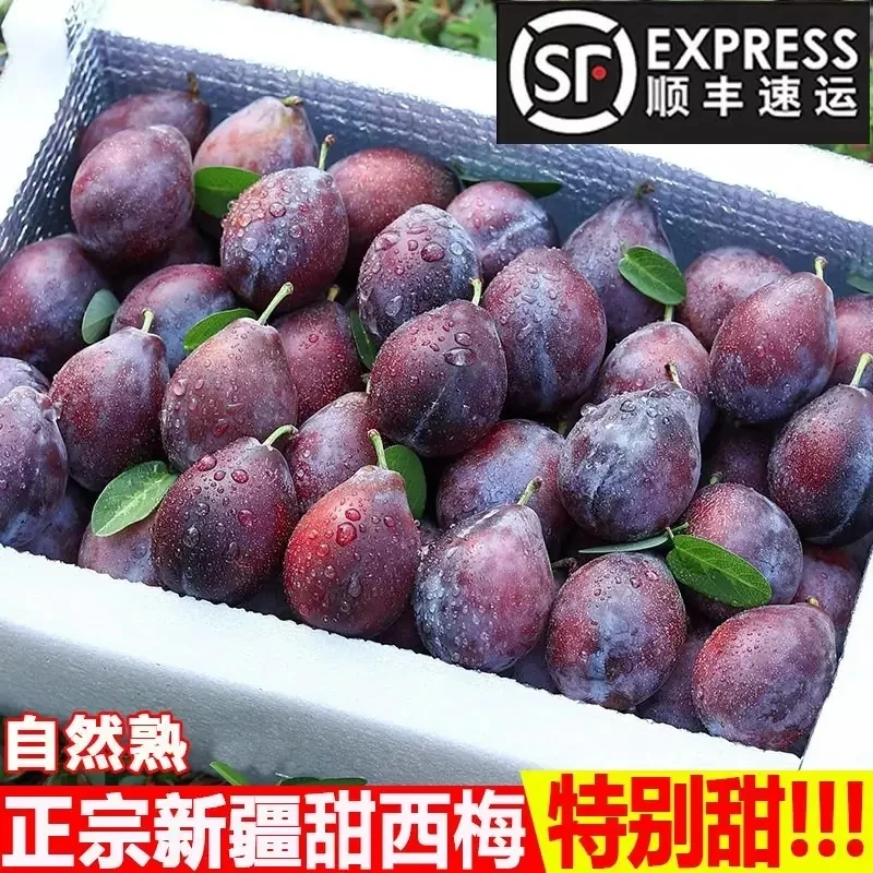 【顺丰直达】正宗新疆法兰西西梅水果西梅甜西梅当季孕妇新鲜水果