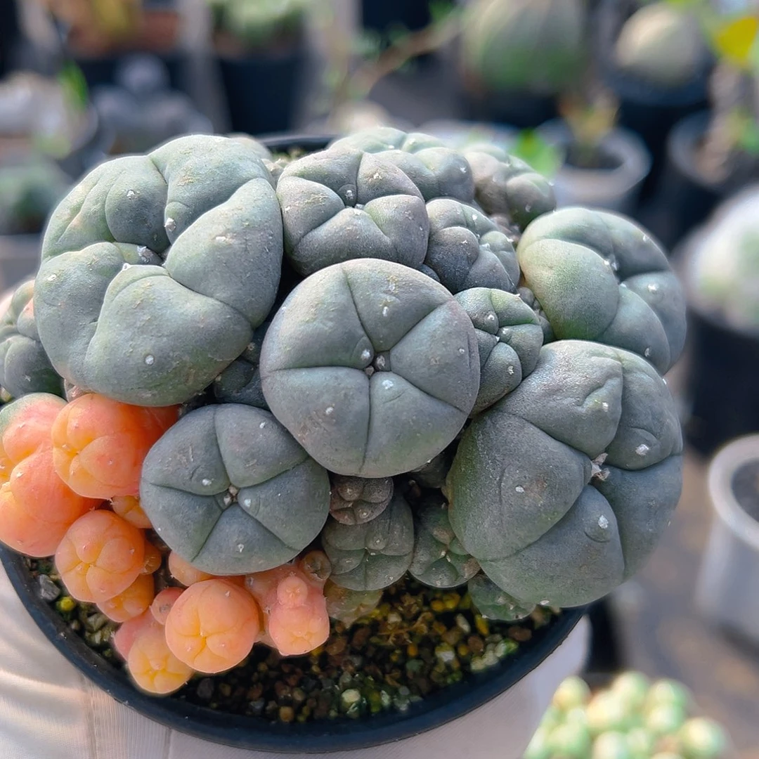 哈哈哈哈哈哈哈哈哈