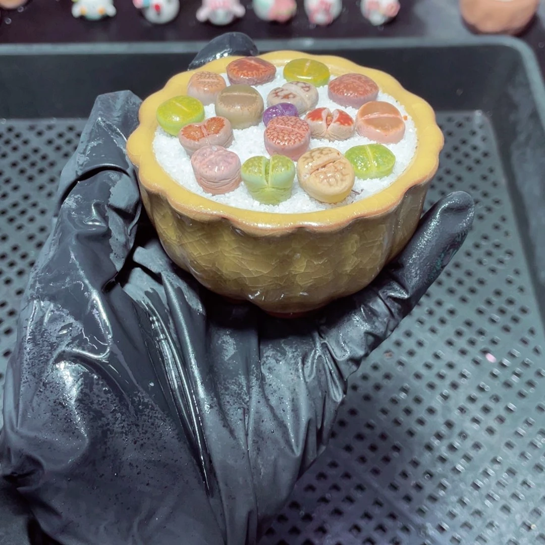 w8520 带盆土发货-零下地区拍保温箱