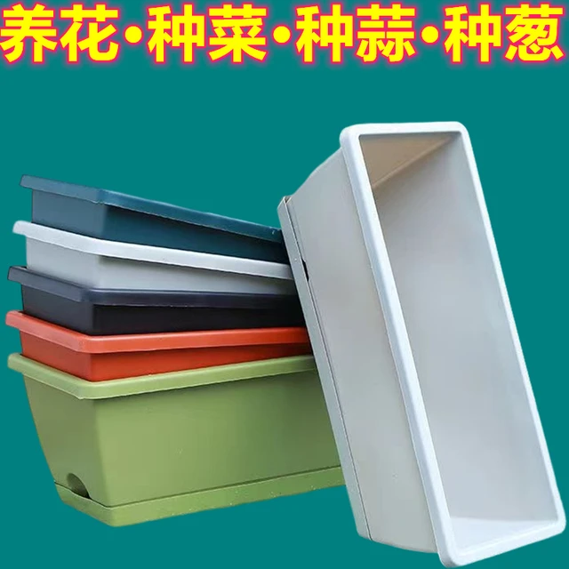 长条种菜盆长方形种蒜霍伦花盆多肉培育盆家庭阳台蔬菜塑料种植槽
