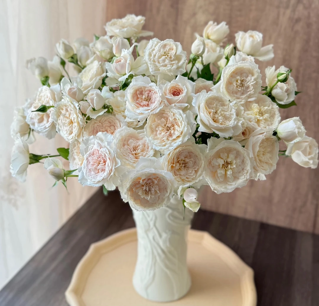 【悠米花】日和多头玫瑰10支