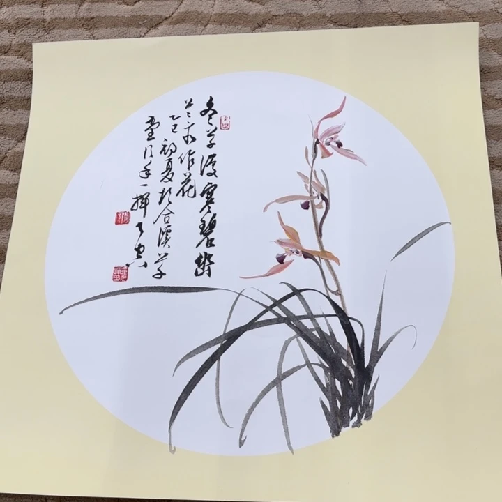 国画花鸟等多种鸟类和鸟类50.50