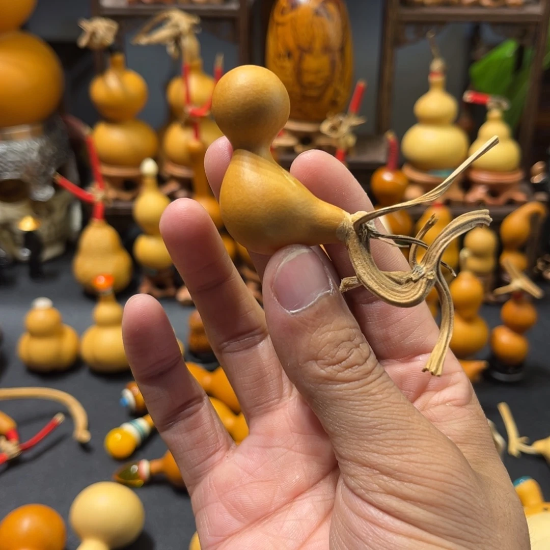 开****?葫芦头的做法是用来做