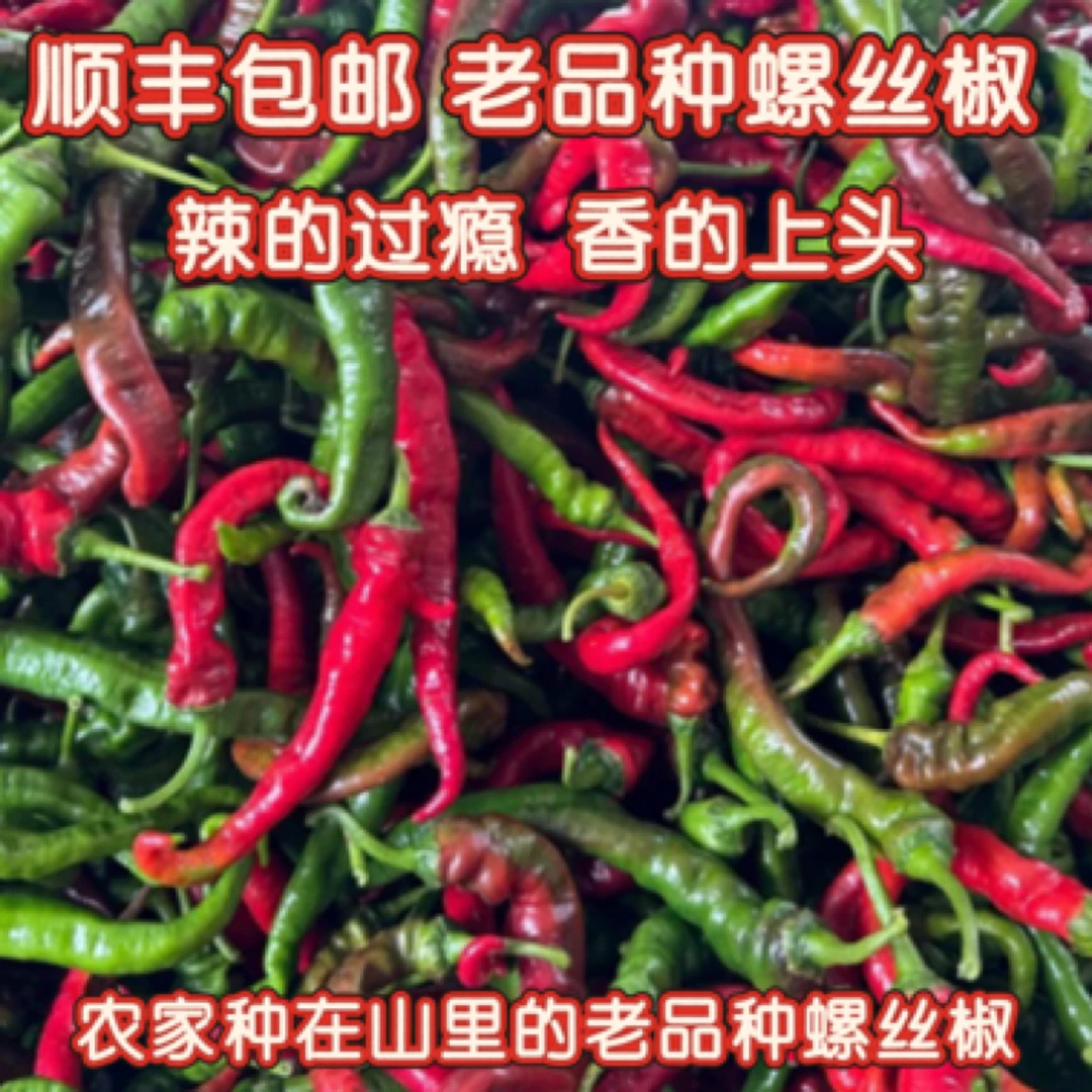 山区农家种植本地现摘新鲜辣椒老品种本地辣椒土辣椒香辣可口薄皮