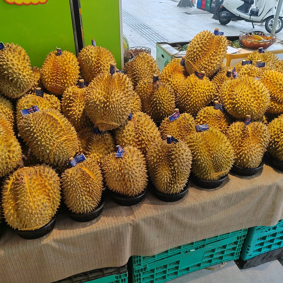新鲜6-6.5斤金枕(整果)核小榴莲同城送金枕泰国